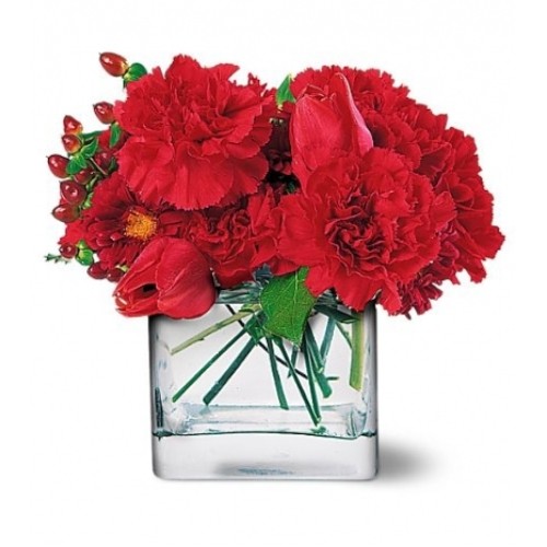 Carnation Deco#7
