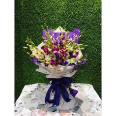 Elegant Orchids Elegant Orchids