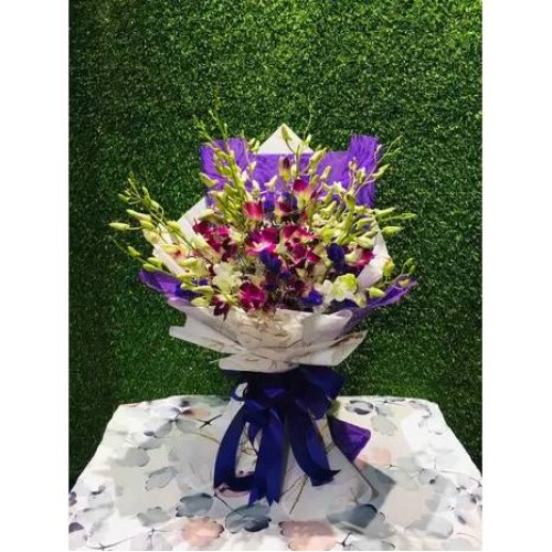 Elegant Orchids