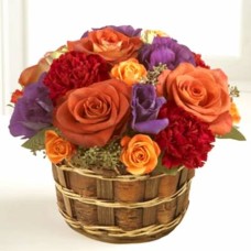 Vibrant Views Basket