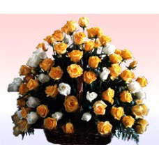 Celebration (48 Rosesus)