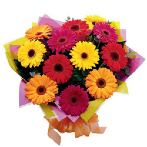 New Hope (24 Gerbera Daisesus)