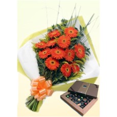 Orange Beauty (12 Gerbera Daises + Chocolatesus)