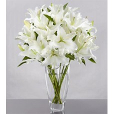 Hope (5 Lily Stemsus)