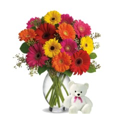 Shared Emotions (36 Gerbera Daises + Teddy Bearus)