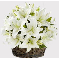 Beautiful (12 Liliesus)