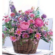 Pink Breeze (Large)