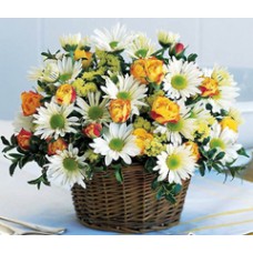 Living Like This (12 Roses And Daisesus)