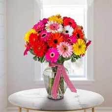 Gerberas (12 Gerberas Daisies in a Vase)