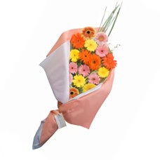 A Sun of Gerberas (12 Gerbera Daisies)