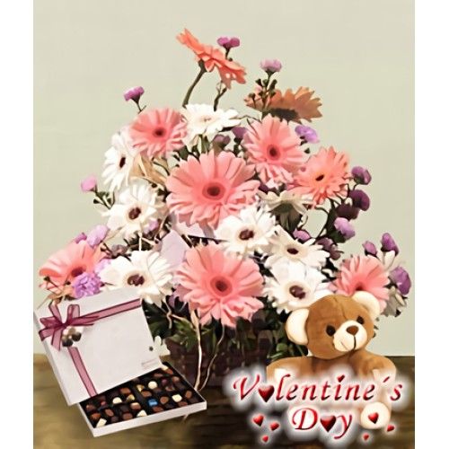 Love is a Feeling (9 Gerbera Daisies + Teddy + Chocolates)