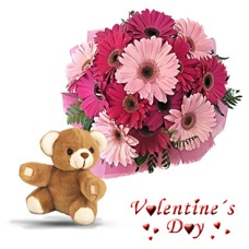 Gerby & Teddy (12 Gerbera Daisies + Teddy)