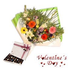 Valentines (Regular)