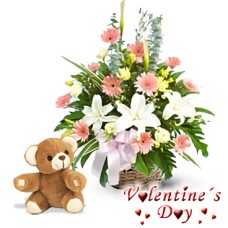 Dear Love (6 Gerbera Daisies + 2 Lilies + Teddy)