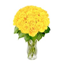 Magnific Yellow (24 Rosesus)