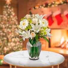 Snowy Holidays (Regular)