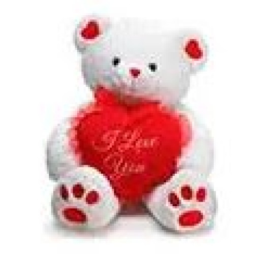 Teddy Bear