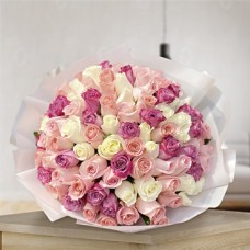 Valentine's Colors