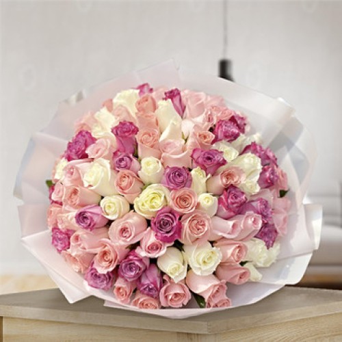 Valentine's Colors