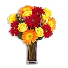 Love Surprise (6 Roses + 2 Gerbera Daisies)