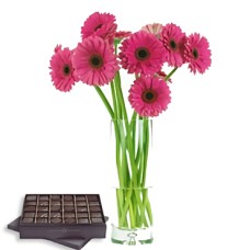 Softness Of Gerbera Daisies (6 Gerberas Daisies + Chocolates Box)