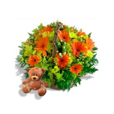 Special Gift Basket (24 Gerberas Daisies)