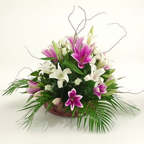 The Power of Flowers (8 Lilies Stems)