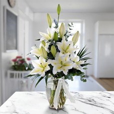 Lilium Passion (Regular)