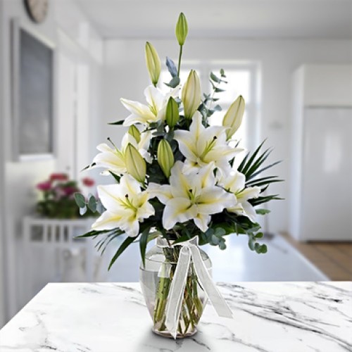 Lilium Passion (Regular)