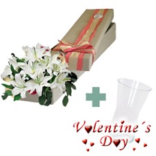 Pure Love VASE (3 Lily Stems)
