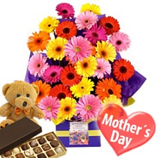 Cuddle Flowers (10 Gerberas + Teddy Bear + Chocolates)