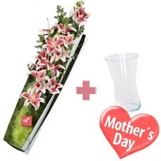 Box of Affection FREE VASE (3 Lily Stems + Vase)