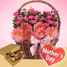 Celebration + FREE CHOCOLATES (12 Roses + 3 Gerberas + CHOCOLATES)