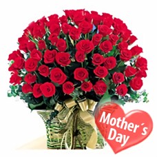 Big Warm Roses Hug (36 Roses)
