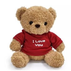 I Love You Teddy