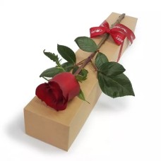 Valentine Love