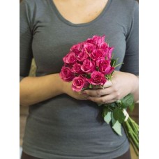 Dark Pink Roses