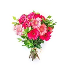 Mixed Gerbera Bunch (Small (8 Gerberas))