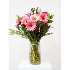 Mixed Gerbera Bunch (Single (8 Gerberas))