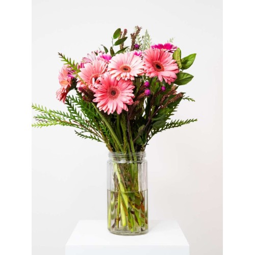 Mixed Gerbera Bunch (Single (8 Gerberas))
