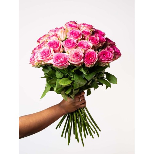 Pink Roses (Single (12 Roses))
