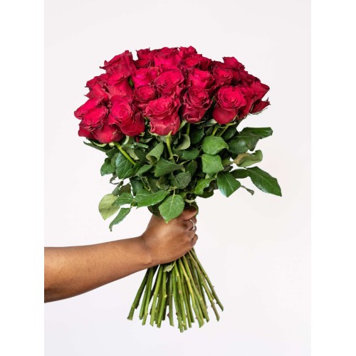 Love Supreme Red Rose Bouquet (Single (12 Roses))