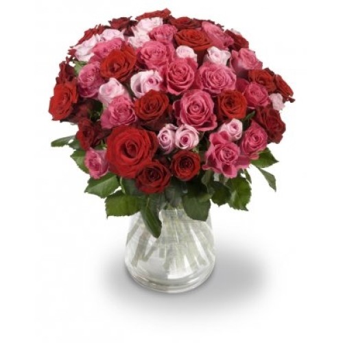Juliette (Small 21 Stems)