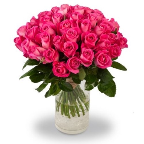 Elie (Medium 50 Stems)