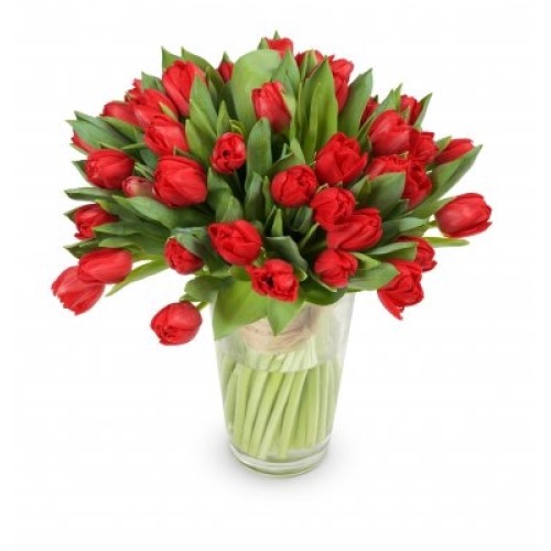 bouquet of red Victoria tulips (Small 21 pcs)