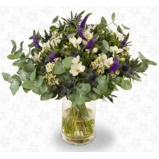 Octave - white freesia