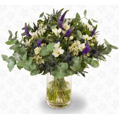 Octave - white freesia