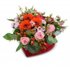 Box of flowers Dorien