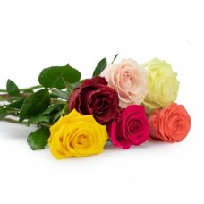 Roses on request 50cm (Leaves MIX)