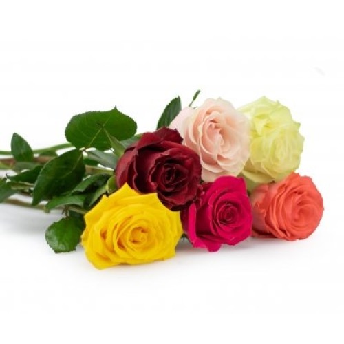 Roses on request 50cm (Leaves MIX)